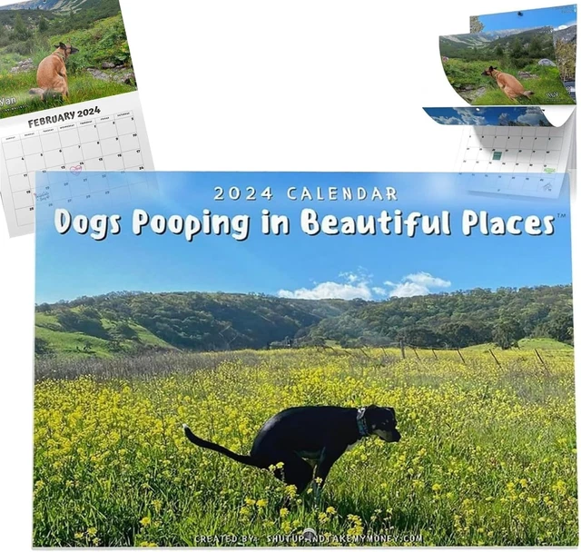 2024 CALANDER丨DOGS POOPING in Beautiful Places Calendar 2024 Wall