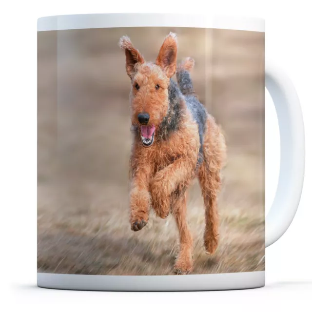 Airedale Terrier Dog - Drinks Mug Cup Kitchen Birthday Office Fun Gift #12469