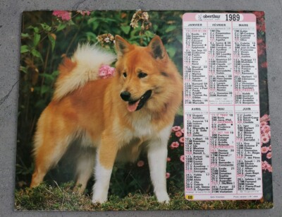 Chevaux et berger allemand Almanach Calendrier du facteur 1989 
