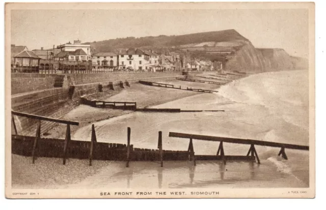 Vintage Original Postcard, Sea Front From The West, Sidmouth