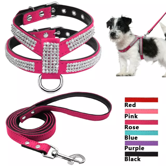 Harnais et laisse pour chien petite taille Cuir avec Strass Bouledogue francais