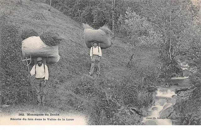 25 - n°75794 - Montagnes du Doubs - Récolte du Foin dans la Vallée de LA LOU
