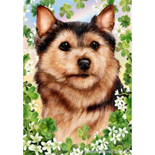 Clover House Flag - Black and Tan Norfolk Terrier 31225