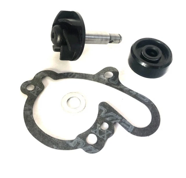 Kurbelwellen Dichtringe DT125 Simmerring Dichtung Dichtung/Simmering Für Kickstarter – Passt Für Yamaha DT, TZR, TDR 125, Sachs, KTM Krümmerdichtung Universal Yamaha Tdr 125 Auspuff