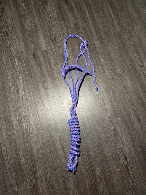 Braided halter horse w/ lead rope - Blue and Purple