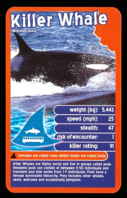 1 x info card deadliest predator Killer Whale - R114
