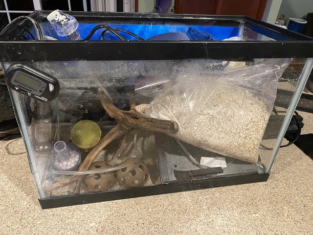 5 Gallon Aquarium with Accessories