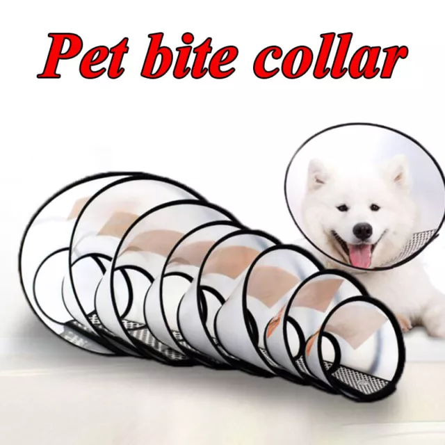 1PCS Mascota Cubierta Protectora Gato Collar Perro Higiene Antimordeduras An <