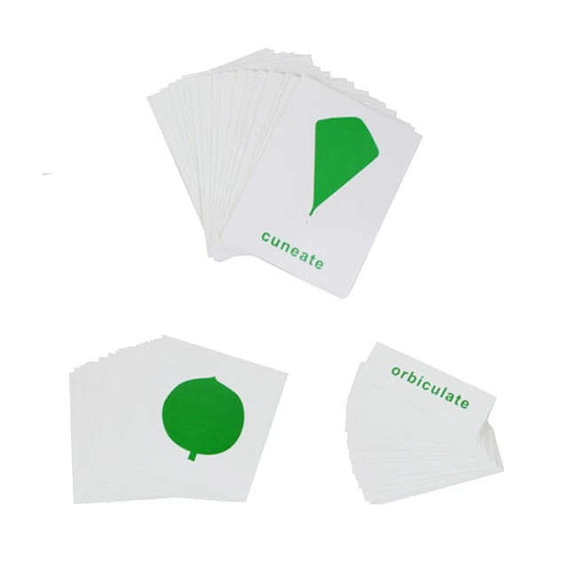 BOTANY CABINET NOMENCLATURE Cards - MONTESSORI BIOLOGY / BOTANY ...