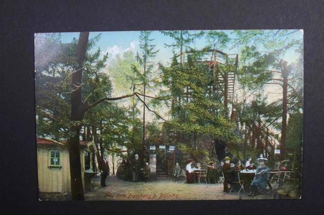 AK Postkarte Auf dem Borsberg bei Pillnitz ungelaufen