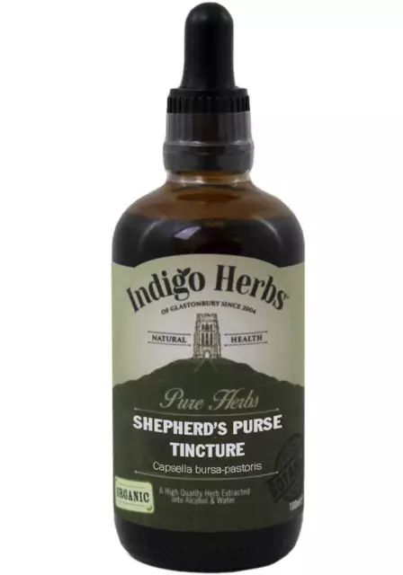 Shepherd's Purse Tincture - 50ml & 100ml - Indigo Herbs