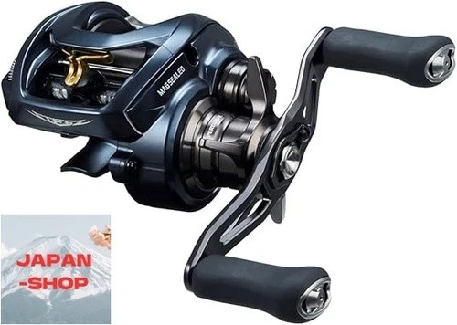 DAIWA STEEZ A II TW 1000L Baitcasting Reel Fishing $554.87