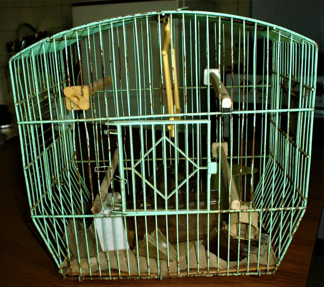 New Little Birds Voliera Per Pappagalli Diensioni 81x58,5x185 C Cod - 5