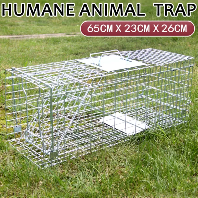 Trap Humane Possum Cage Live Animal Safe live Catch Rabbit Cat Hare possum Fox