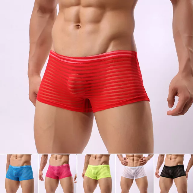 Herren Unterwäsche Netz Durchsichtig Unterhose Hipster Boxershorts Trunk Shorts