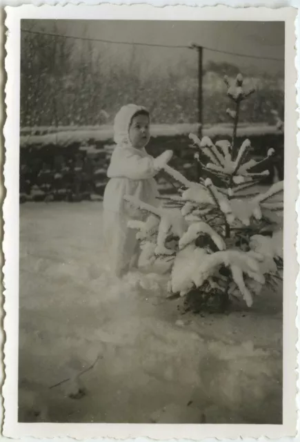 Photo Ancienne - Vintage Snapshot - Enfant Neige Sapin Arbre Jardin - Child Snow