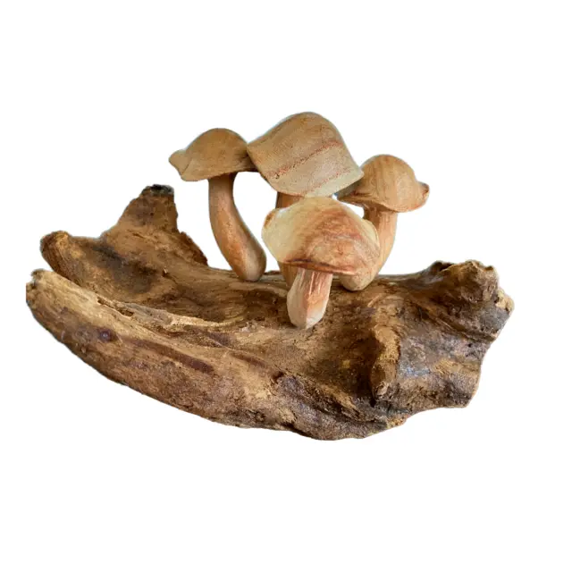 Wild Forest Mushrooms Statue Hand Carved Parasite Wood Balinese Art Sculpture