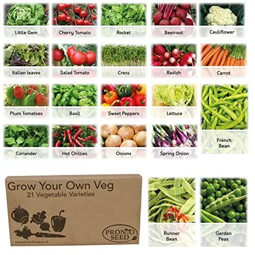 Vegetable Seeds Herb Bumper Pack - Planting Now Grow Your Own Kit - 21 Varieties