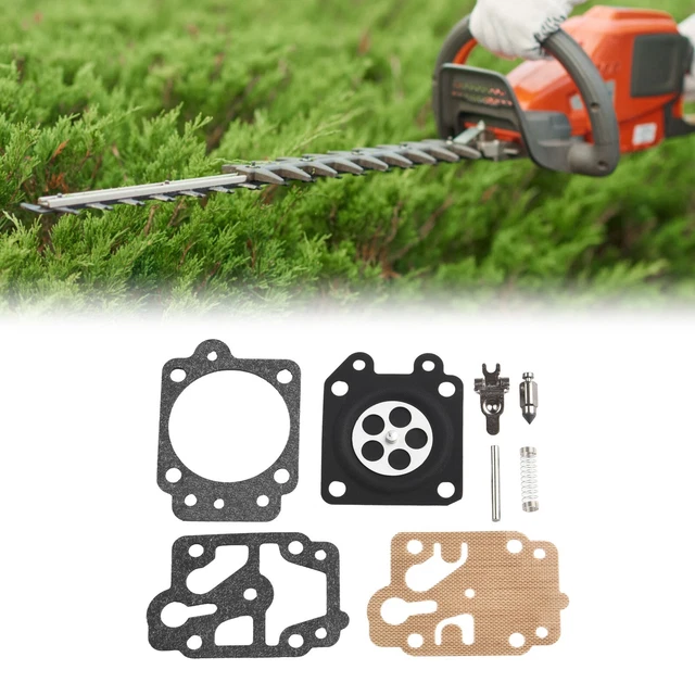 Pièce à Main Dentaire à Basse Vitesse, Contre-angle Droit, 2 Trous Borden – Pour Moteur à Air