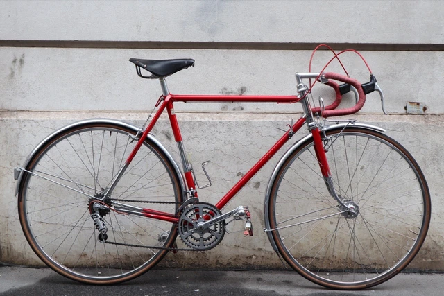 Bicycle Randonneuse Alex Singer RiverOne Frame Randonneur 650A