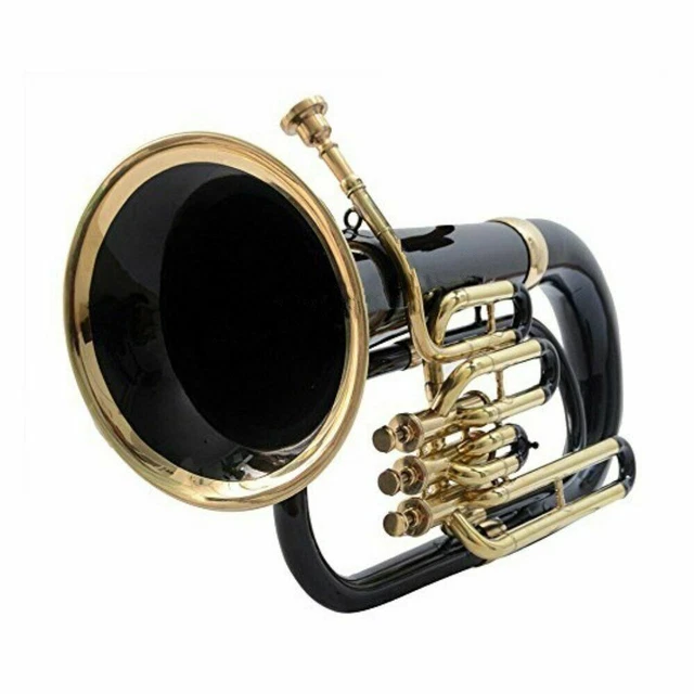 Euphonium 3 Valve Bb Pitch With Including Mouthpiece & Carry Case (Black Gold)