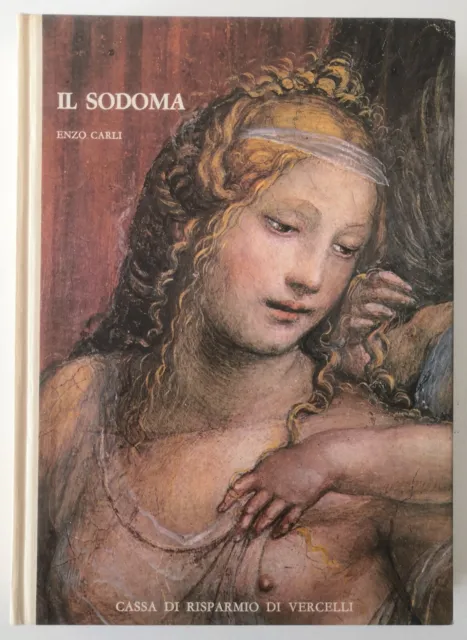 Il Sodoma Libro illustrato di Enzo Carli anno 1979 Cassa di Risparmio Vercelli 2