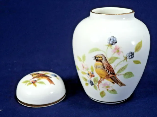 Miniatur Porzellan Urne & Deckel Gelbhammer Vögel Brombeeren 'Woodland China Derby' 4