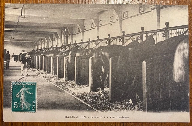 Carte Postale Ancienne. Haras Du Pin . Orne  Vue Intérieure( Cpa 1) Animee