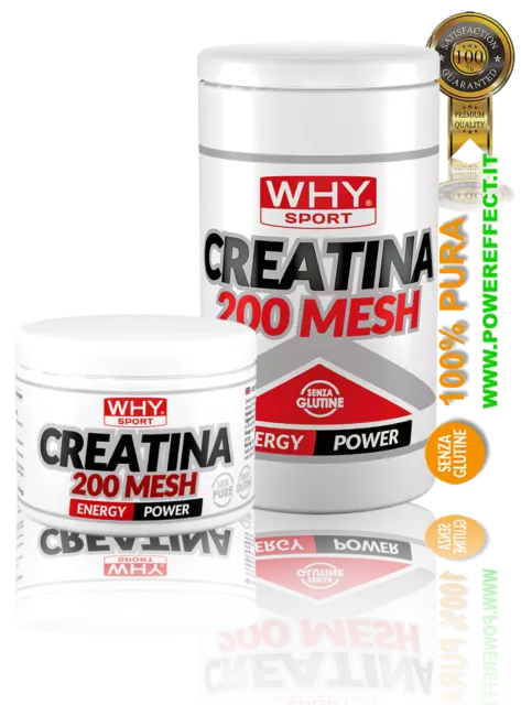 CREATINA 200 MESH - 200 g / 500 g - Why Sport