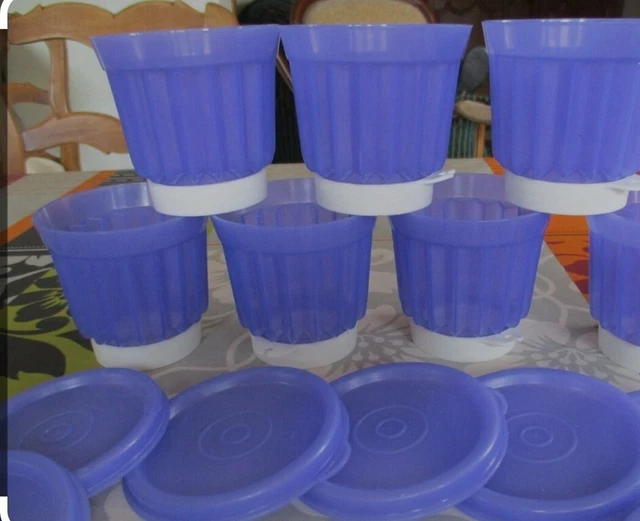 Lot Tupperware Vintage : Moule Charlotte + 6 Ramequins à Flan – Blanc – Bon état