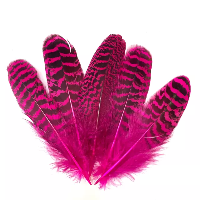 Peacock Mottled Wing Feather x 5pcs - Cerise