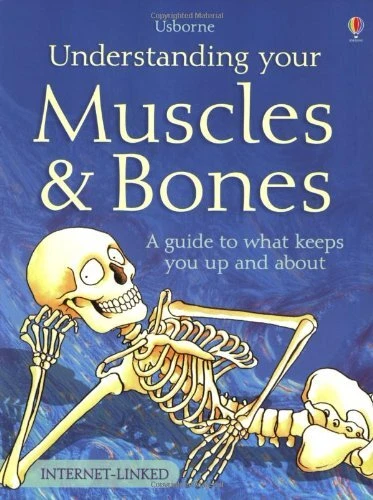 UNDERSTANDING YOUR MUSCLES and Bones: A Guide to What Keeps You $7.64 ...