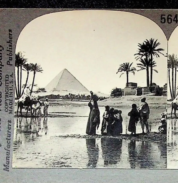 Camel Natives Flooded Nile Pyramid Egypt Photograph Keystone Stereoview Card
