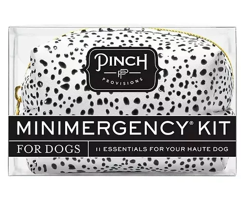 PINCH PROVISIONS MINIMERGENCY Kit For Her 17 Gold Beauty Personal  Essentials $16.50 - PicClick