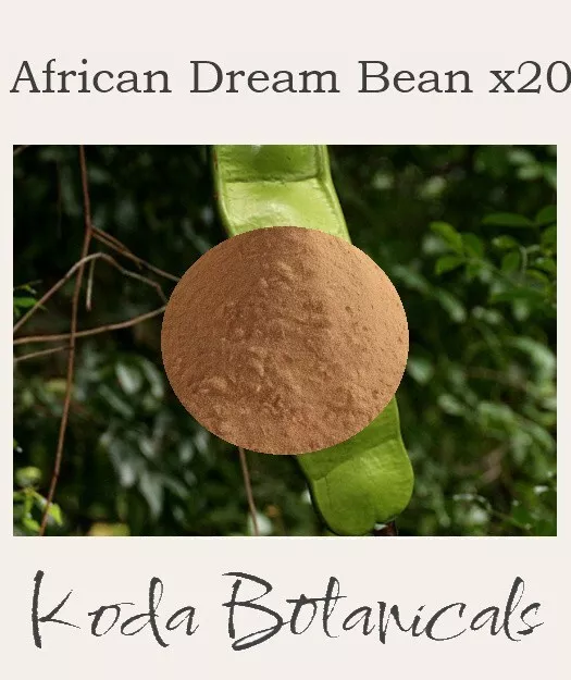 AFRICAN DREAM BEAN 20:1 EXTRACT POWDER 25g Entada rheedii x20 Stronger Than Herb