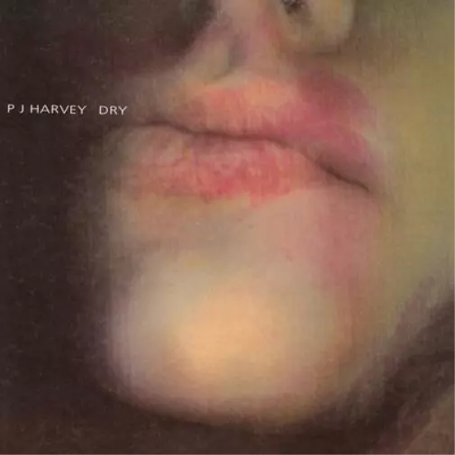 PJ Harvey Dry (Vinyl) 12" Album