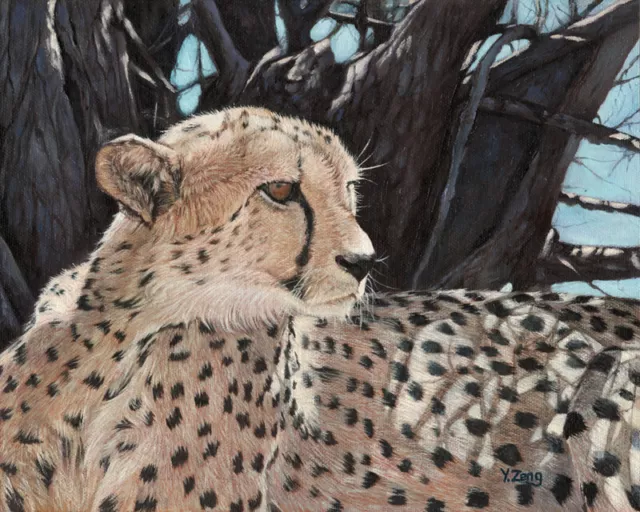 Giclee fine art print of oil painting cheetah, wildlife 8"×10"