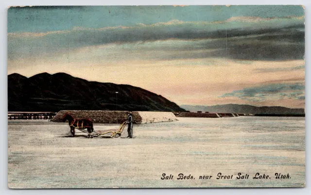 Great Salt Lake Utah~Man w/Horse Drawn Sled Collecting Salt From Salt Beds~c1910