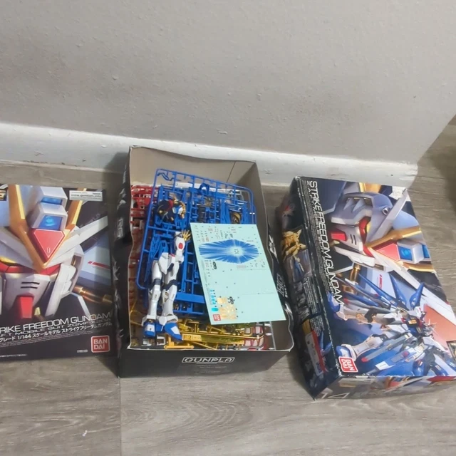 BANDAI 1/144 RG Real Grade Strike Freedom Gundam Model Kit ZGMFX204A