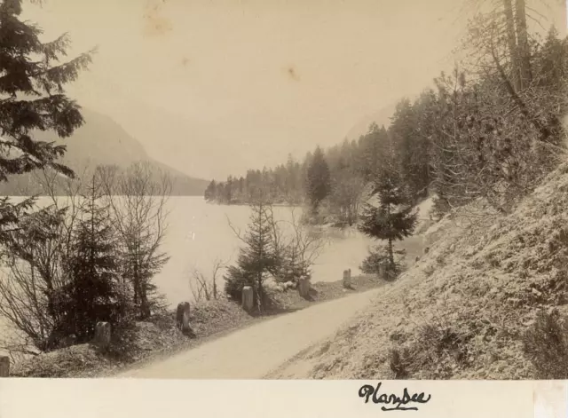 Austria, Plansee  Vintage albumen print.  Tirage albuminé  10x15  Circa