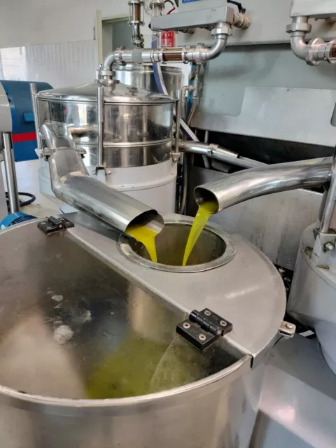 olio extravergine di oliva 5 litri 2023/2024