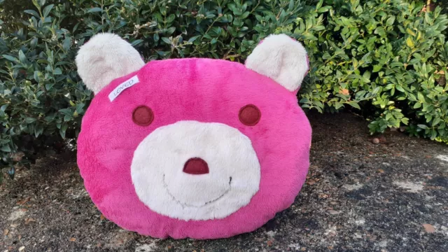 Oreiller ours en peluche rose pour enfants avec une poche en tissu à l'arrière