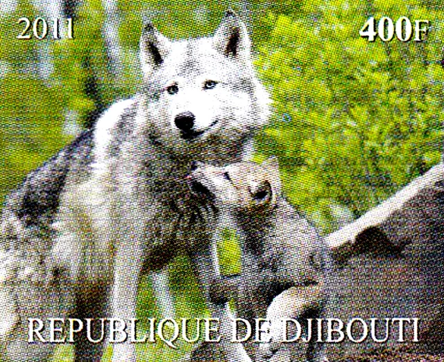 Nuovo di zecca animale selvatico lupo predatore cane selvatico bambino animale bambino animale bambino/366