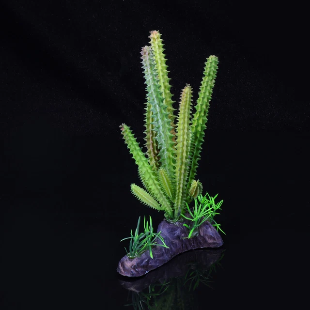 2 Cetrioli Finti In PU - Decorazione Realistica Per Casa E Ufficio - Foto 8