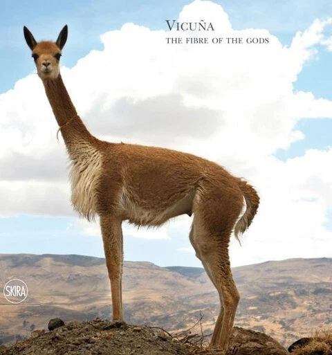 Vicuna Piana, Loro Book