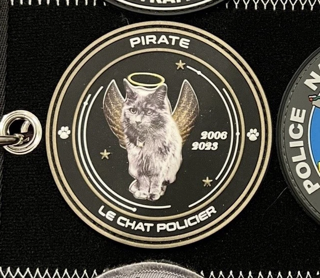 Ancien écusson D'épaule Gibraltar Reserve Police – Vintage Michigan – Pièce De Collection Obsolète