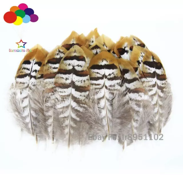 Pretty gold 10-100 PCS natural Pheasant tip Feathers 5-15 cm/2-6 inches Diy