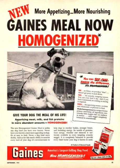 PRINT AD 1951 Gaines Meal Dog Food Homogenized Wire Fox Terrier Vintage