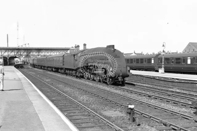 PHOTO BR British Railways Steam Locomotive Class A4 60020 at Selby in 1959