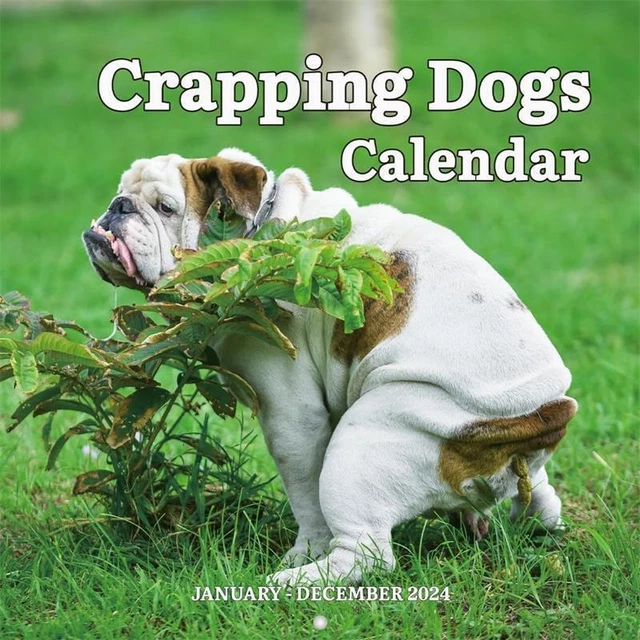 2024 CALENDAR FUNNY Dogs Pooping in Beautiful Places Wall Calend